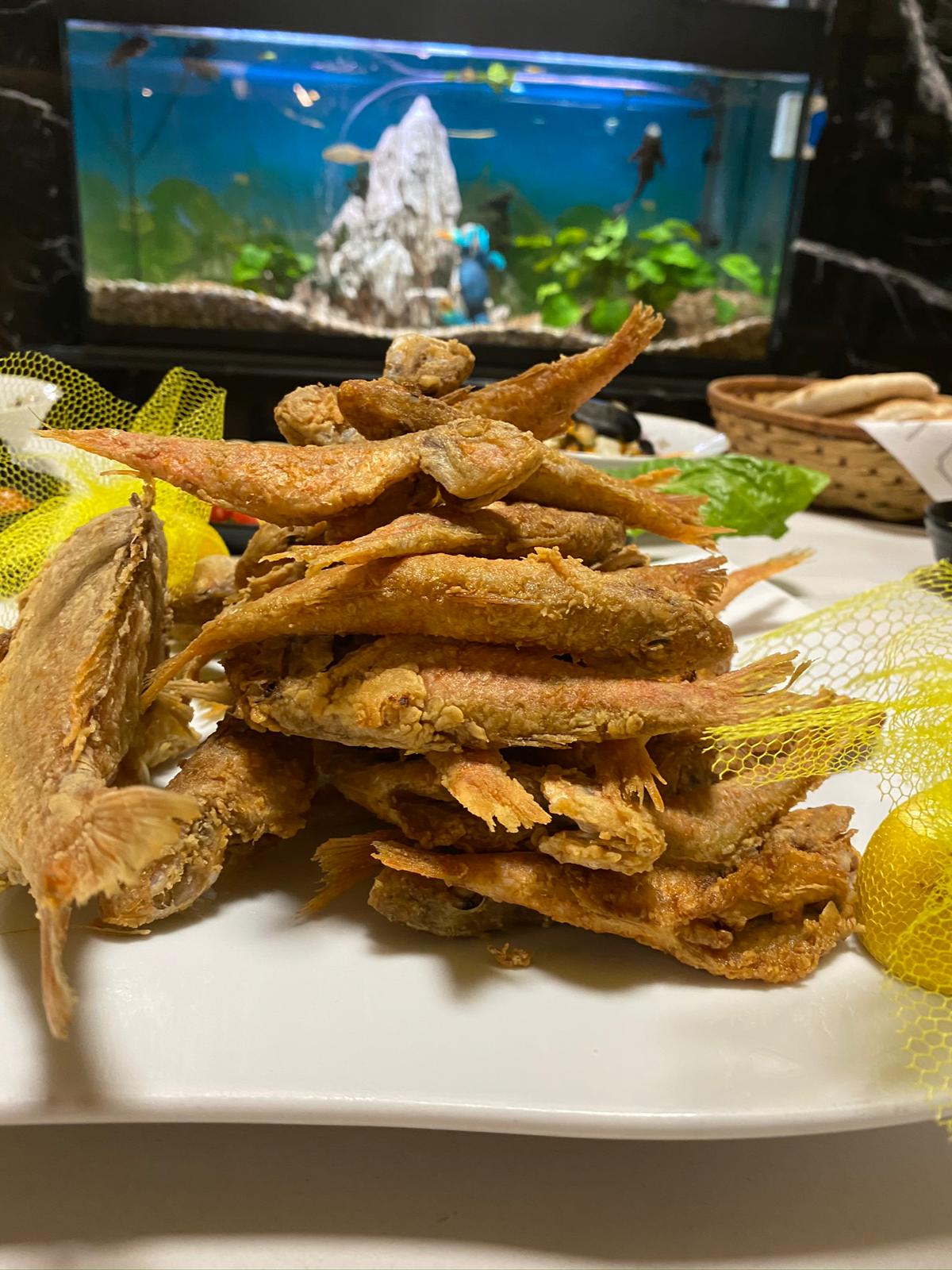 WhatsApp Image 2020-12-15 at 2.46.05 PM (1).jpeg.jpeg